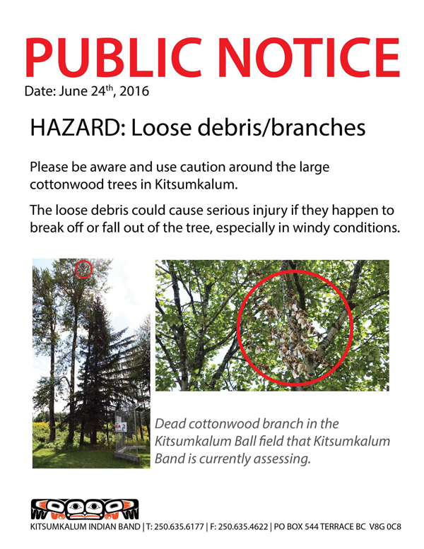 PUBLIC NOTICE: Caution Falling Branches