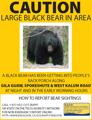 CAUTION: BLACK BEAR IN AREA