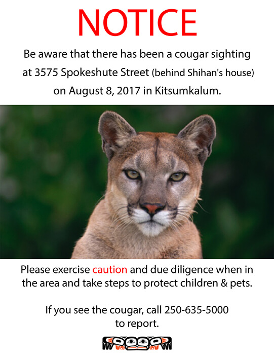 Cougar Sighting in Kitsumkalum – Take Caution