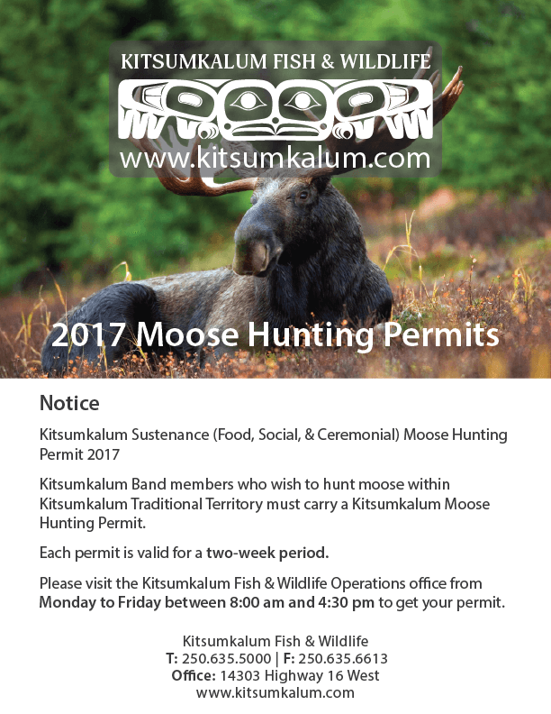 Moose Hunting Permits – 2017