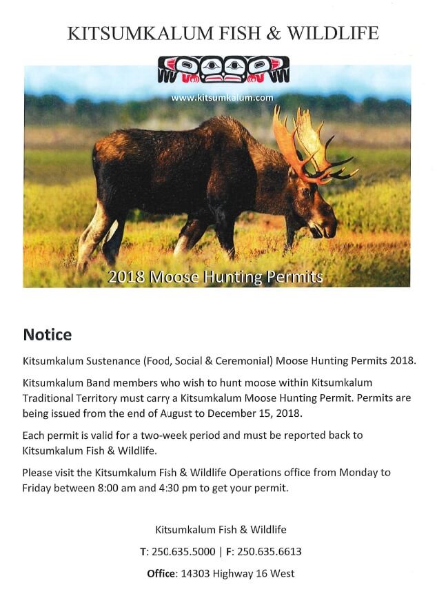 Moose Hunting Permits 2018