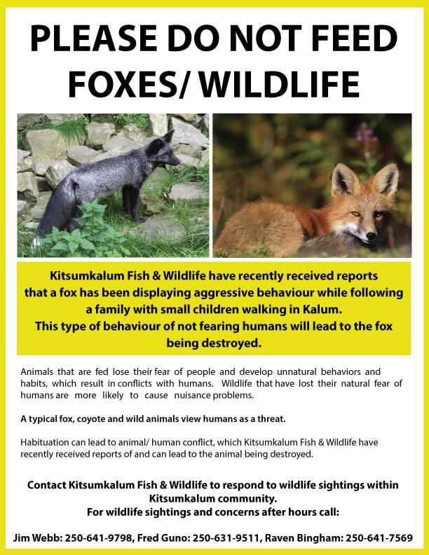 Please do not feed foxes/ wildlife – Recent display of aggressive behaviour