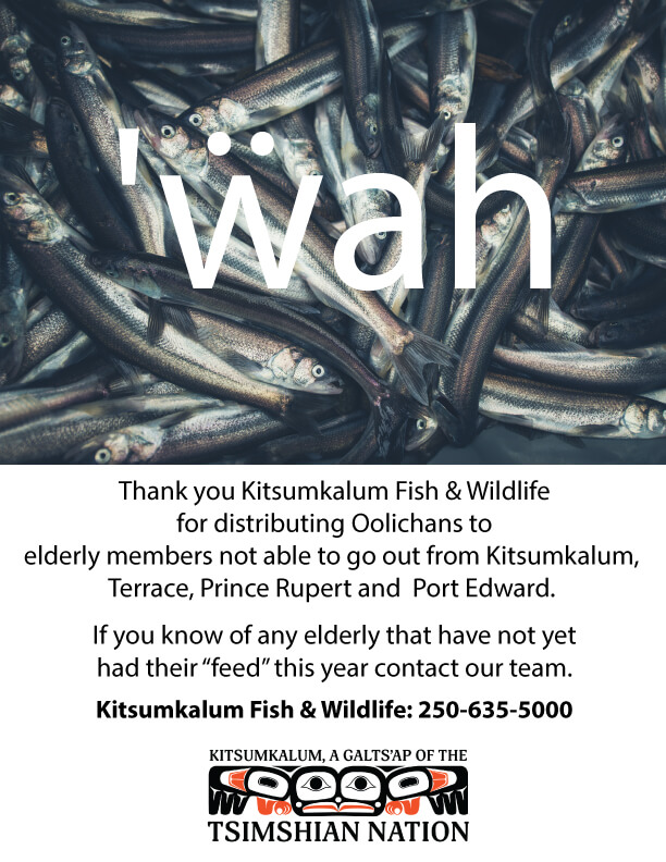 Kitsumkalum provides ‘ẅah (oolichans) to elderly thanks to our Fish & Wildlife department