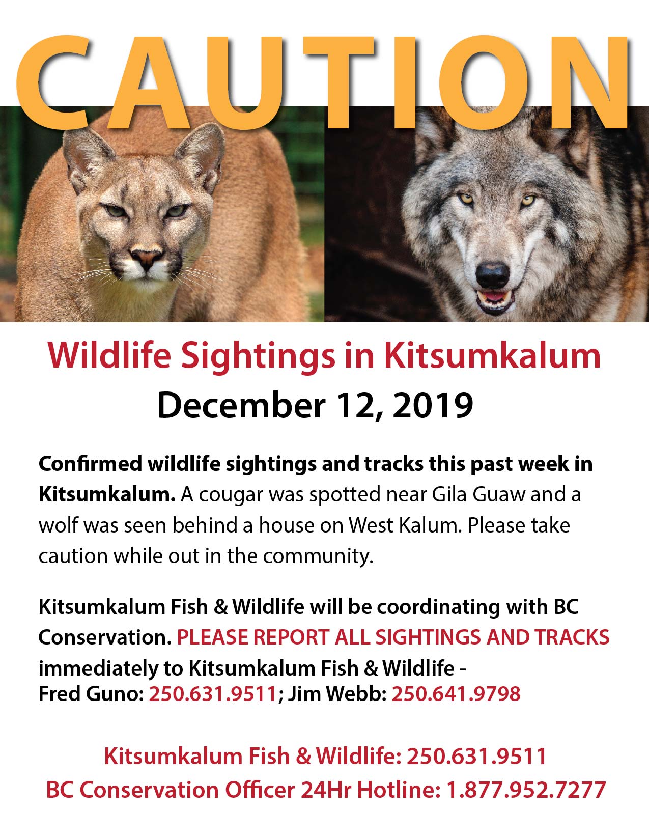 Report Wildlife Sightings Immediately to Kitsumkalum Fish & Wildlife
